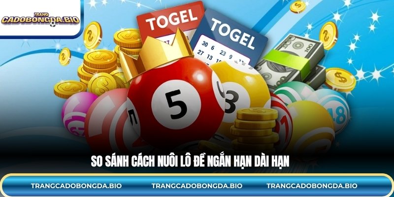 So sánh cách nuôi lô đề ngắn hạn dài hạn