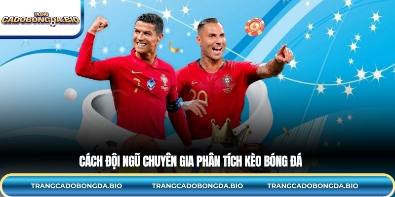 Cách Đội Ngũ Chuyên Gia phân tích kèo bóng đá
