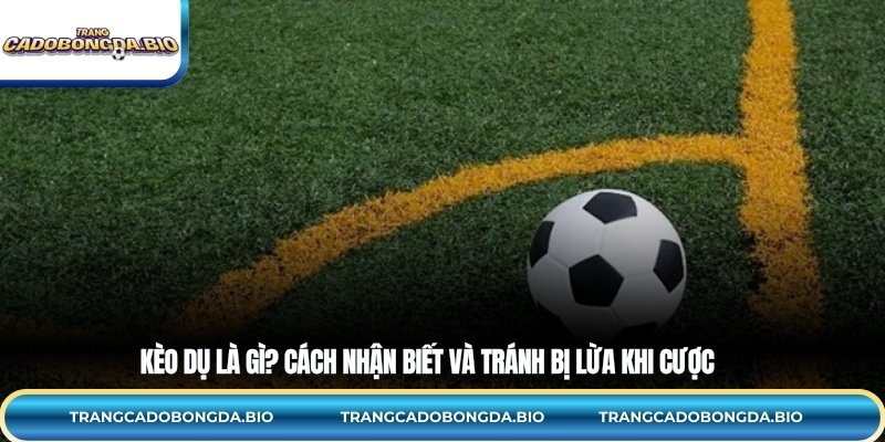 Kèo dụ – Khái niệm và cơ chế hoạt động