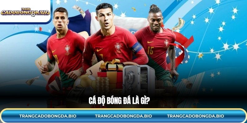 Cá độ bóng đá là gì?