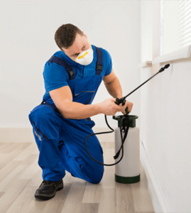 شركة تنظيف منازل ومكافحة حشرات بالرياض