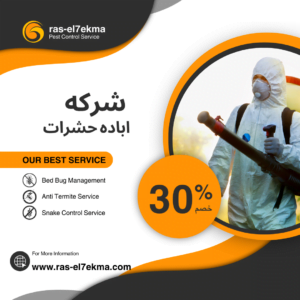 إبادة الحشرات والقوارض الحل الأمثل لبيئة آمنة ونظيفة