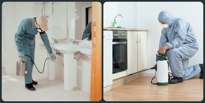 رقم شركة تعقيم المنازل