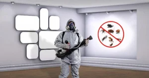 شركات القضاء على بق الفراش